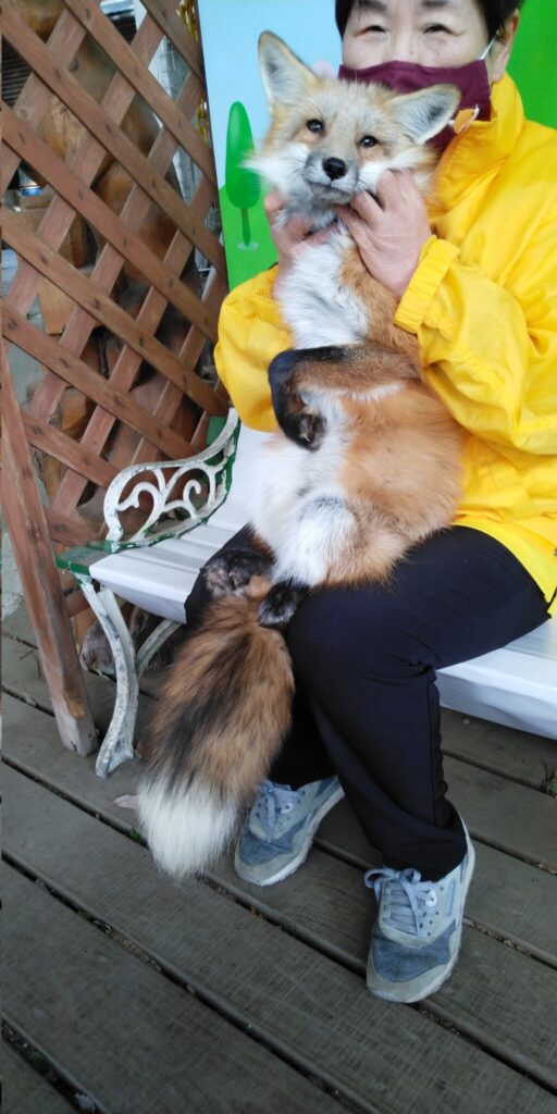 e82d844802fecfcbd81c558dc069cd