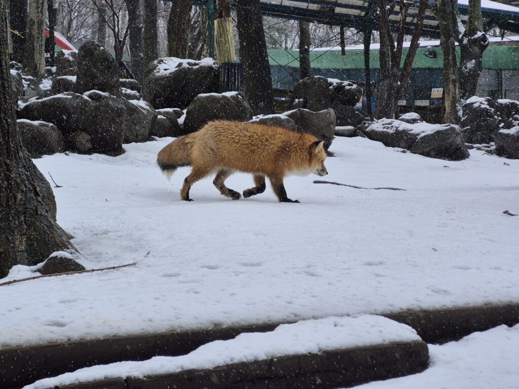 192363fa-6034-4cf4-9445-