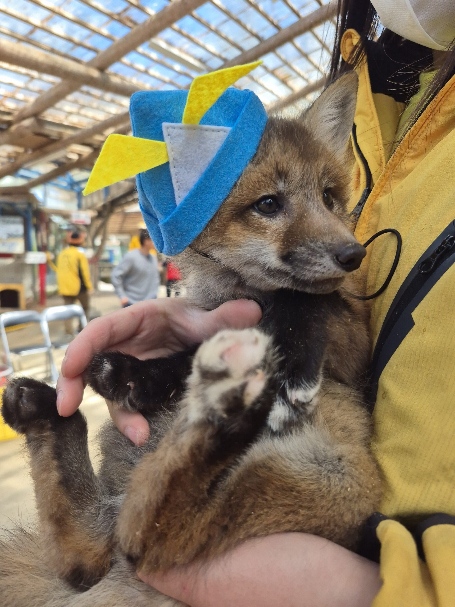 宮城蔵王キツネ村